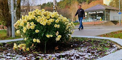 Przymrozki w Sopocie aż do poniedziałku! IMGW wydało ostrzeżenie 1 stopnia