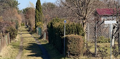 Ile kosztuje własny kawałek zieleni w Sopocie? Sprawdziliśmy ceny działek ROD