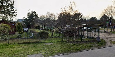 Co dalej z ROD Oaza przy granicy Sopotu i Gdańska? Czytelniczka bije na alarm