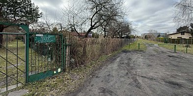 Co dalej z ROD Oaza przy granicy Sopotu i Gdańska? Czytelniczka bije na alarm