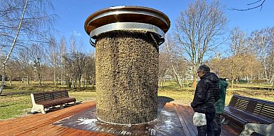Sopot uruchamia tężnie solankowe! Wiemy, które już działają