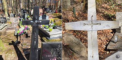 Skradzione krzyże i dziesiątki zdewastowanych grobów w Sopocie
