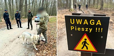 Las w Sopocie pod ochroną! Policja i Straż Leśna dba o przestrzeganie prawa