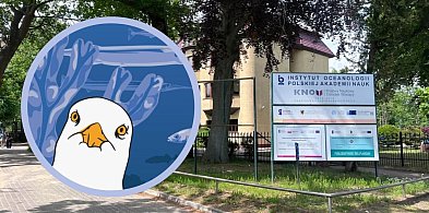 Ocean Zmian w Sopocie. Nauka, Bałtyk i zabawa dla całych rodzin