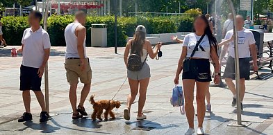 Zabrali psa do rozgrzanego centrum Sopotu. "Niech sami idą boso"