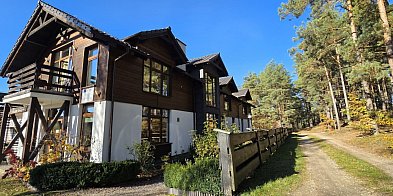 „WANT” - decyzja, która zmienia życie.