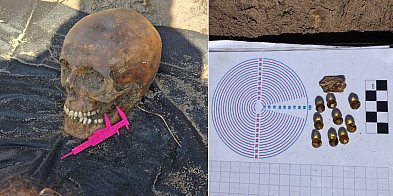 Niezwykłe odkrycie na Wyspie Sobieszewskiej