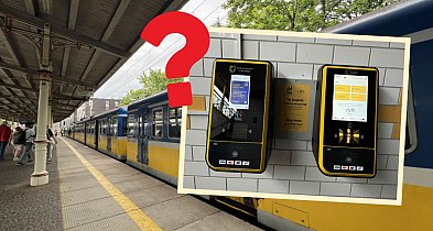 System FALA to tak naprawdę chaos i same problemy? "Buntuję się, nie korzystam"-36064
