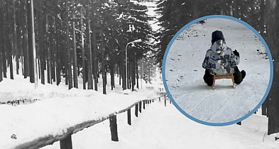 Toru saneczkowego w Sopocie nie będzie! Co poszło nie tak?-38608