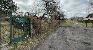 Co dalej z ROD Oaza przy granicy Sopotu i Gdańska? Czytelniczka bije na alarm