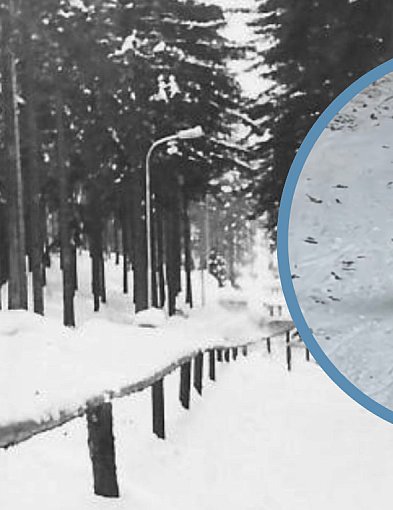 Toru saneczkowego w Sopocie nie będzie! Co poszło nie tak?-38608