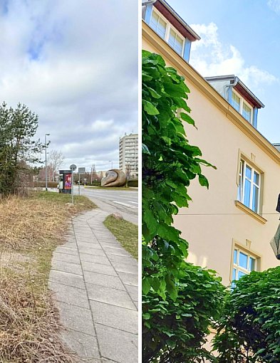 Walka z dzikim wynajmem i plany na trzcinowisko. Prezydentka Sopotu o zmianach