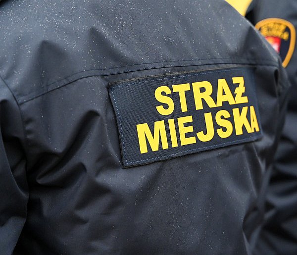 Zapuka strażnik, zapłacisz karę. Ruszyły kontrole w całej Polsce-36325