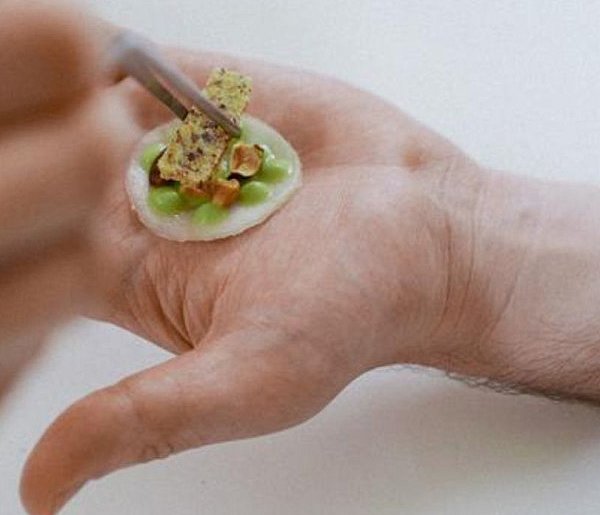 Sopot i Praga łączą siły w sztuce! Zobacz wystawę inspirowaną życiem grzybów-36501