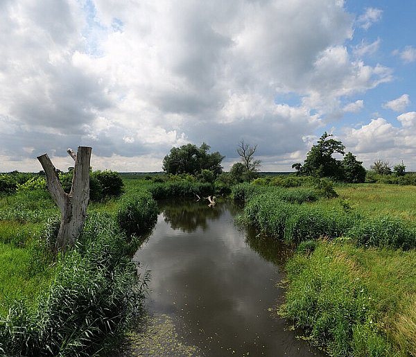 Co dalej z nowym parkiem narodowym? Minister klimatu zdradza plan po wecie-37084