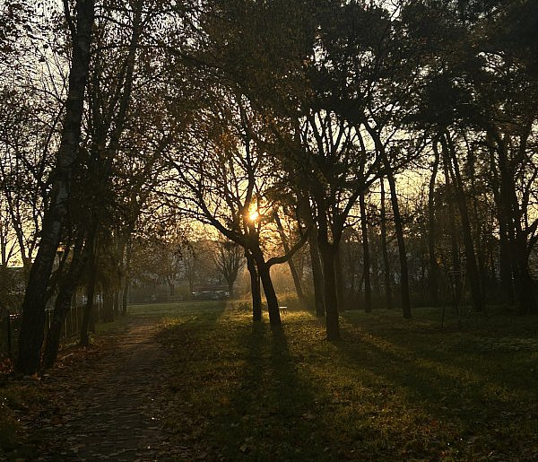 Nadchodzi najkrótszy dzień w 2025 roku. Sprawdź, kiedy przypadnie-38073