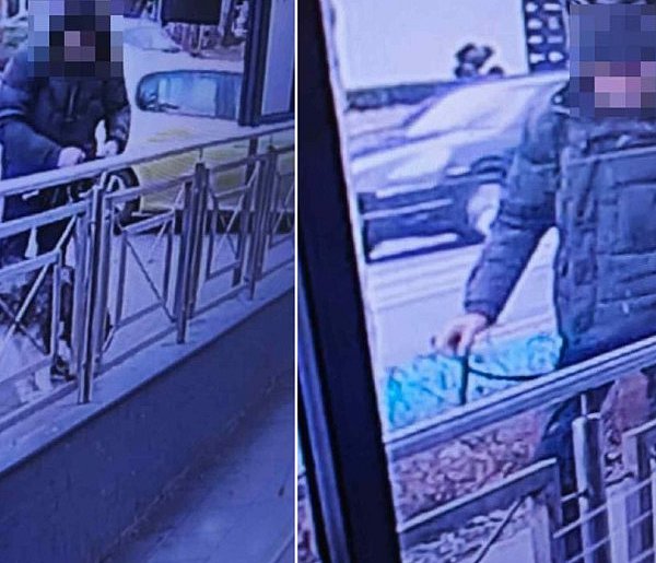 Ukradł psa sprzed sklepu w Sopocie! Jego ofiarą padł husky warty 3 tys. zł-38122