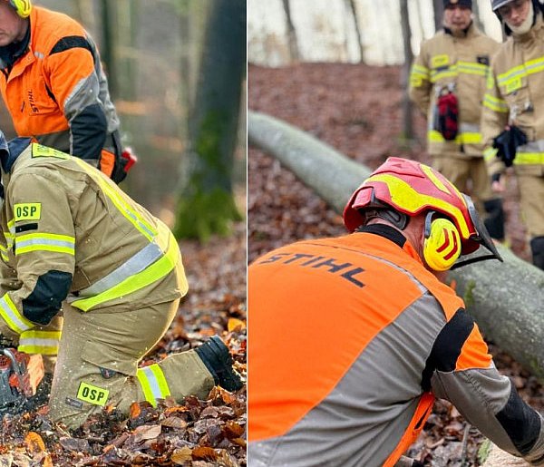 Strażacy z Sopotu szkolili się w lesie! W ruch poszły pilarki-38134