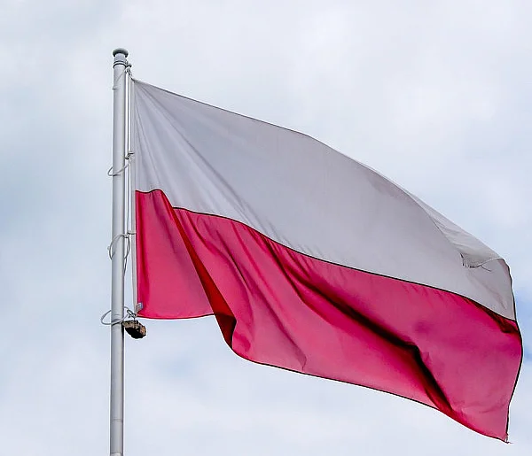 Godło i flaga mogą wyglądać inaczej. Ruszyły prace nad symbolami państwowymi-38164