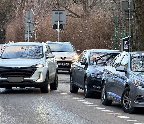 Straż Miejska podsumowała święta! Aż 6,5 tys. zł w mandatach w kilka dni-38251