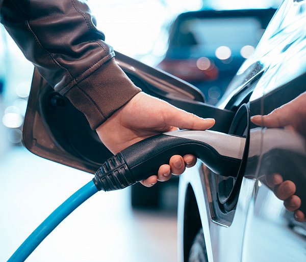 Coraz częściej dochodzi do takich kradzieży. Powody zaskakują-38813