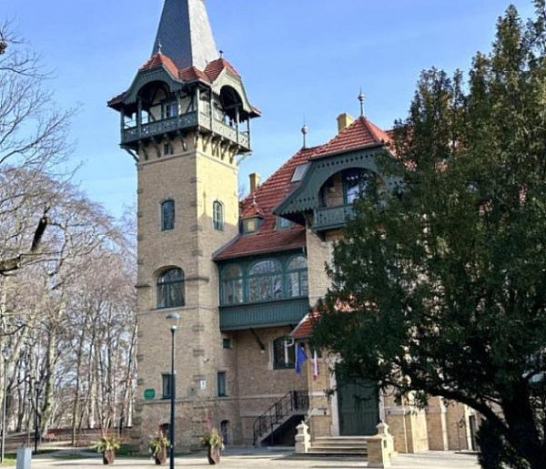 Marzec w Goyki 3 Art Inkubatorze: kino, warsztaty i nocne obserwacje sów