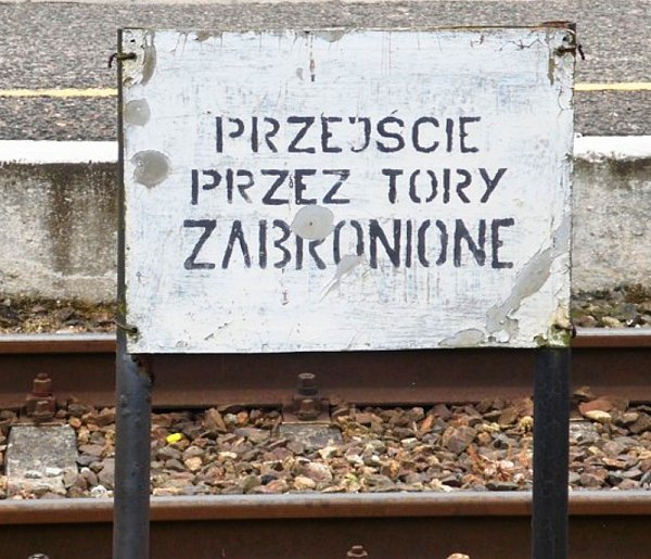 Tragiczny wypadek w Gdyni. Policja wyjaśnia przyczyny