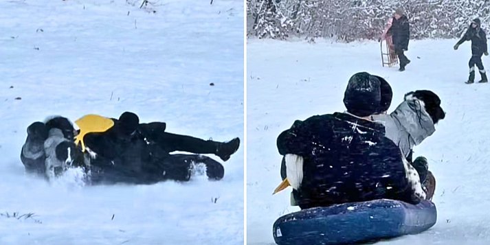 Myśleli, że się bawi, a pies się męczył. Smutne kulisy "zimowej zabawy" w Sopocie