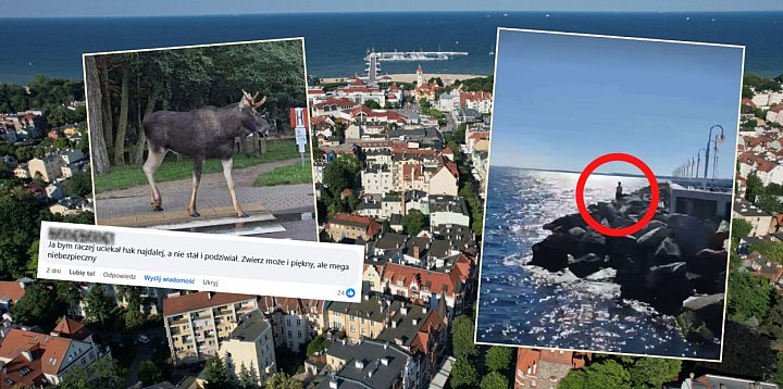 Czy warto ryzykować dla zdjęcia w Sopocie? [OPINIA]-35473