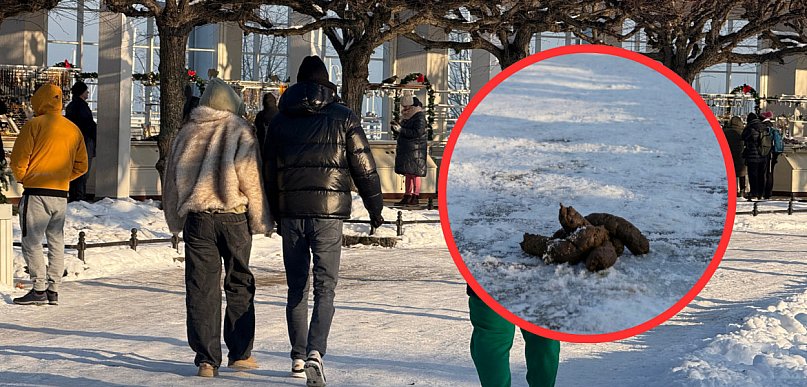 Problem psich odchodów w Sopocie. Czy turyści i mieszkańcy zaczną sprzątać?