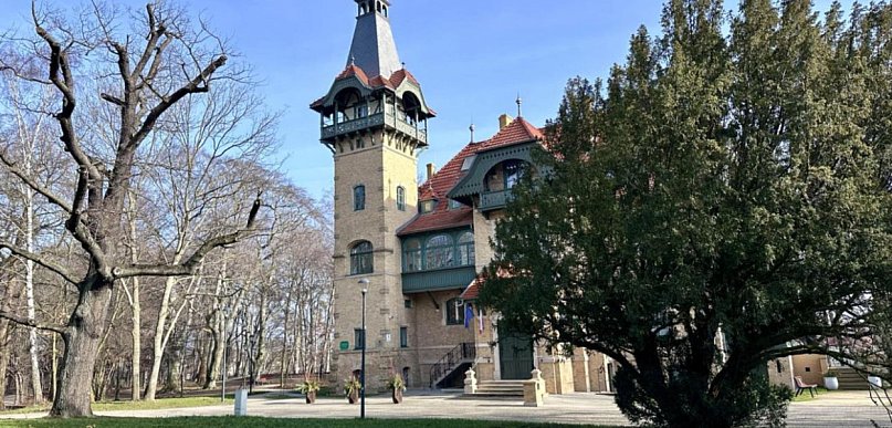 Marzec w Goyki 3 Art Inkubatorze: kino, warsztaty i nocne obserwacje sów