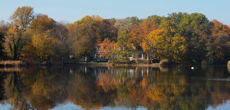 Odkryj najlepsze sposoby na relaks w Poznaniu: Twój przewodnik po miejskich oazach