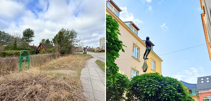 Walka z dzikim wynajmem i plany na trzcinowisko. Prezydentka Sopotu o zmianach