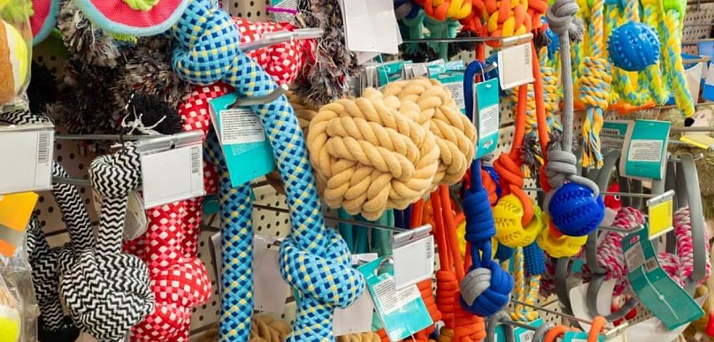 Sklep zoologiczny online — 7 rzeczy, które odróżniają dobry sklep od przeciętnego