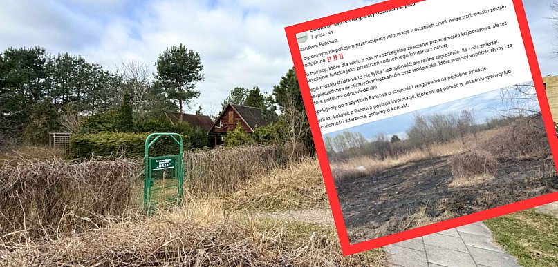 Pożar w okolicy Ergo Areny i ROD "Oaza". Dzień wcześniej protestowali tu...