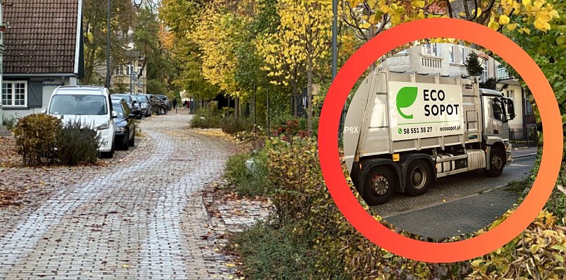 Jesień w ECO Sopot – kolorowa, pracowita i ekologiczna - 36764