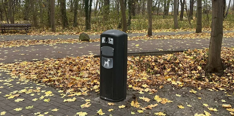 Czysty Sopot dla wszystkich? Radny chce więcej koszy na psie odchody - 37368