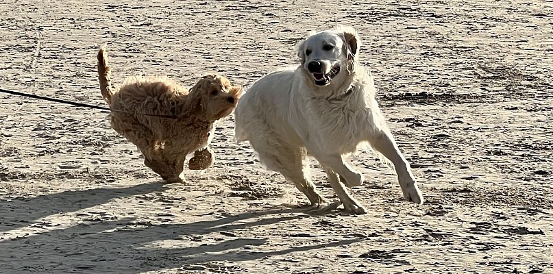 ECO Sopot rusza z nową kampanią społeczną - 37614