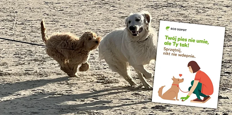 ECO Sopot rusza z nową kampanią społeczną - 37614