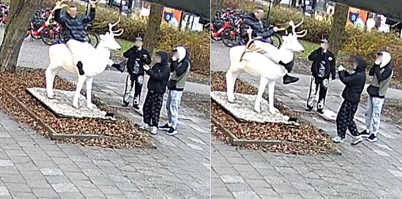 Kto zniszczył białego jelenia w Sopocie? Właściciel rzeźby apeluje o pomoc - 37680