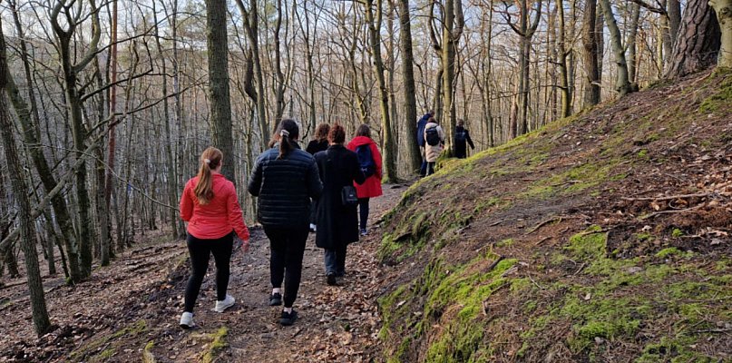 Sopot czeka wielkie sprzątanie! Kto zadba o lasy i place zabaw? - 37815