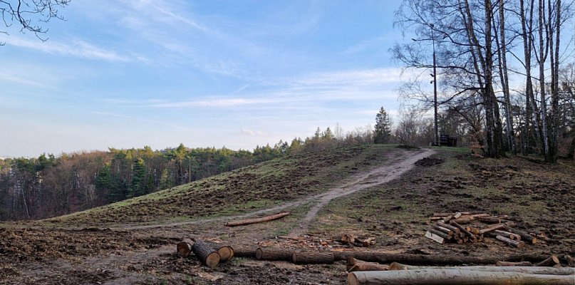 Co czeka Łysą Górę w Sopocie? Przyszły rok przyniesie istotną zmianę - 37869