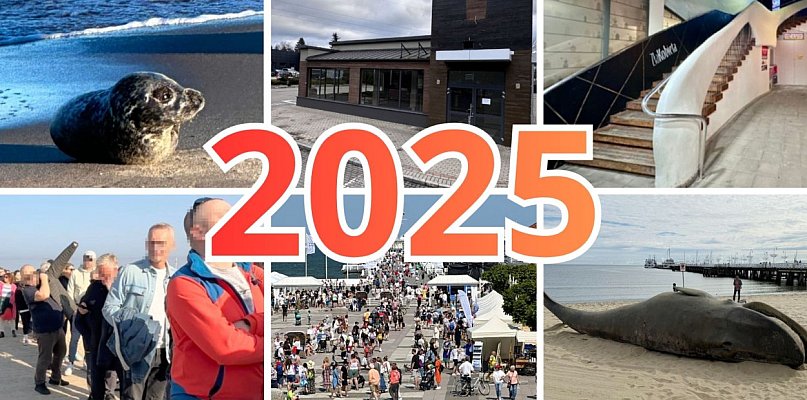 Tym żył Sopot w 2025! Wieloryb na plaży, foka Monciak i zmiany w gastronomii - 38308
