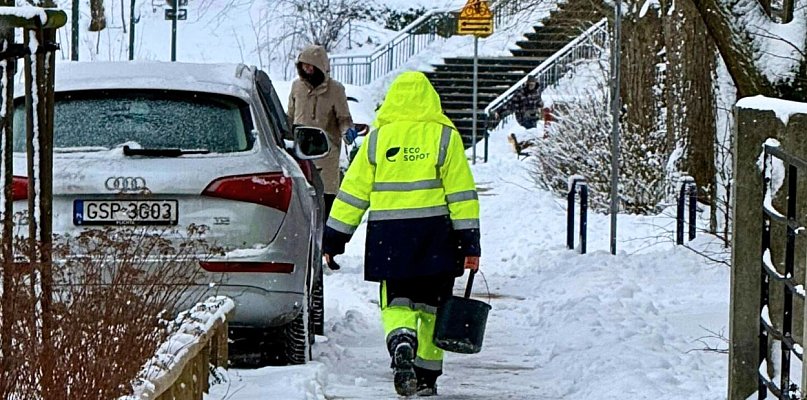 To nie ZDiZ ma odśnieżyć chodnik pod domem. Sprawdź, co mówią przepisy - 38575