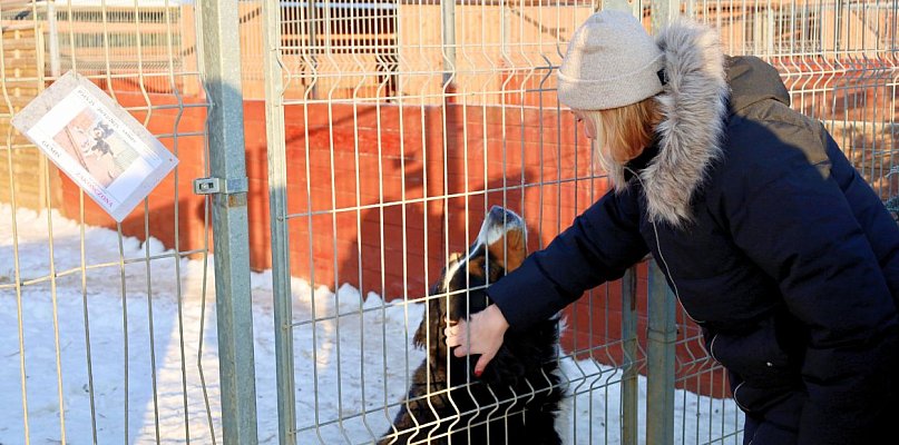 Wielka kontrola schronisk na Pomorzu. To efekt akcji Dody i Łukasza Litewki?