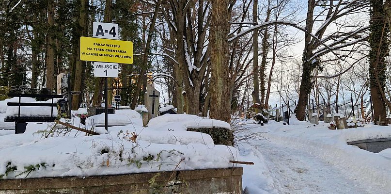 Sopot szykuje się do rozbudowy cmentarza! W planach kaplica, łąka pamięci i...