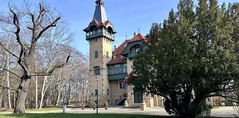 Marzec w Goyki 3 Art Inkubatorze: kino, warsztaty i nocne obserwacje sów