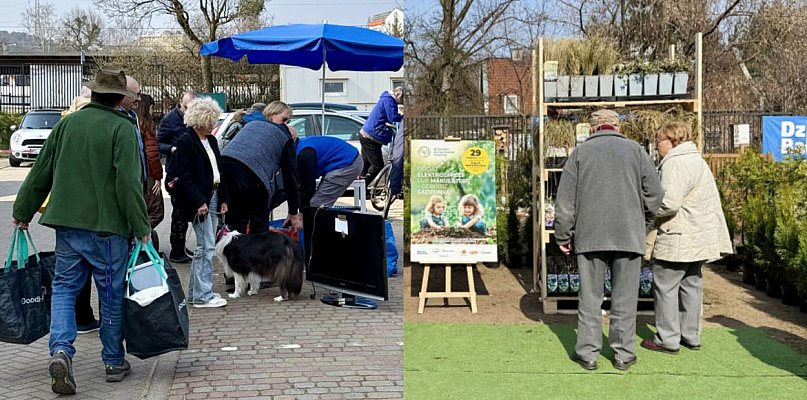 Oddaj elektrośmieci, odbierz sadzonkę! Popularna akcja wraca na Sopocki Rynek