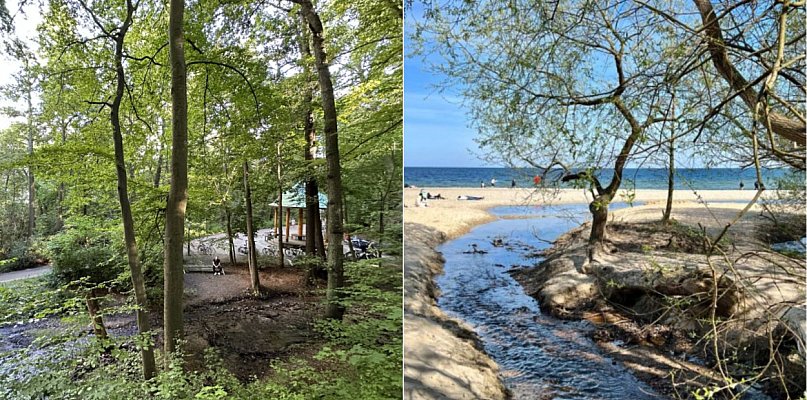Granica Sopotu z Gdynią zyska nowe oznaczenie! Wiemy, co planują władze miasta