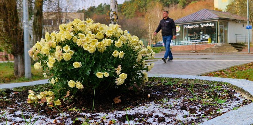 Przymrozki w Sopocie aż do poniedziałku! IMGW wydało ostrzeżenie 1 stopnia